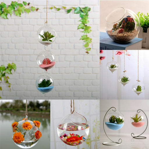 Plant Clear Glass Vase