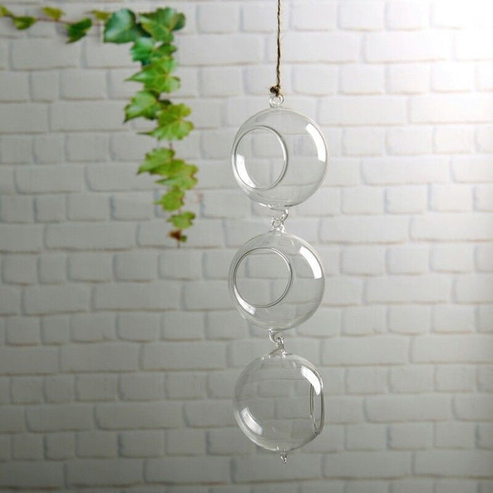 Plant Clear Glass Vase